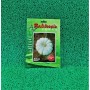 BAL KABAĞI (ARICAN 97) TOHUMU 25GR